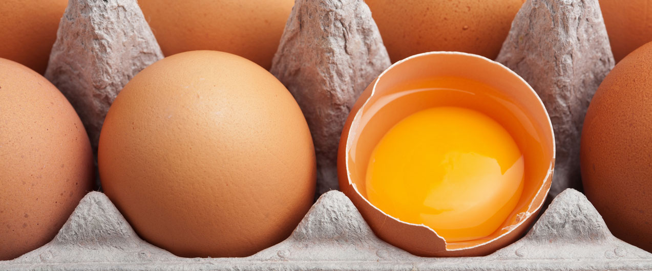 холестерин в яйце курином