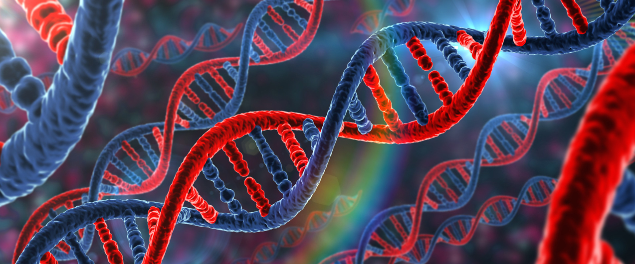 Сколько аминокислот в ДНК и что это такое?