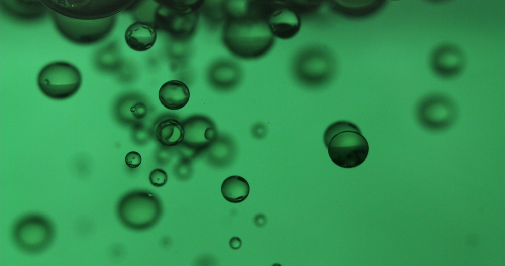 Для чего в процессе пищеварения необходима желчь?