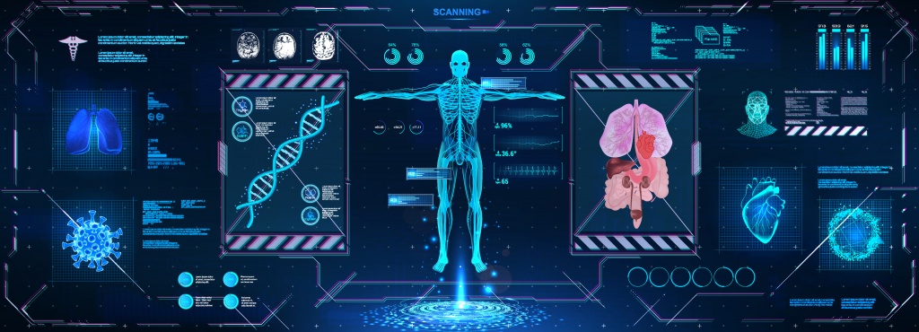 Как работает организм человека