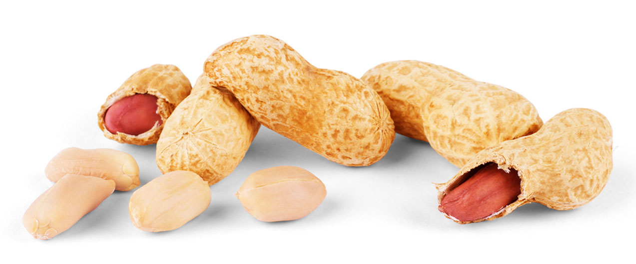 Какова калорийность арахиса и в чем его польза