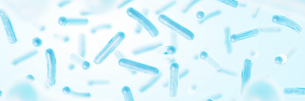 Пробиотики и пребиотики: в чем разница?