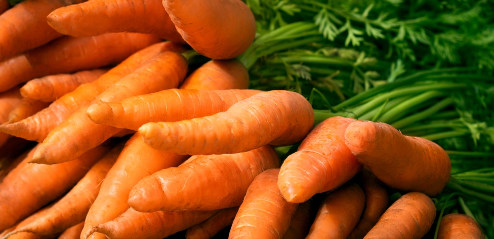 Каротин — что это такое