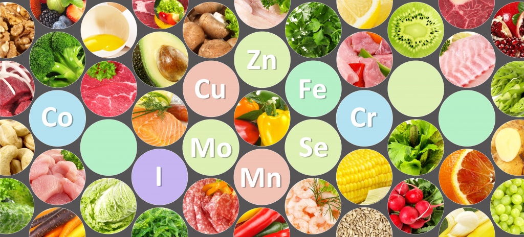 Каким образом питательные вещества попадают в клетку