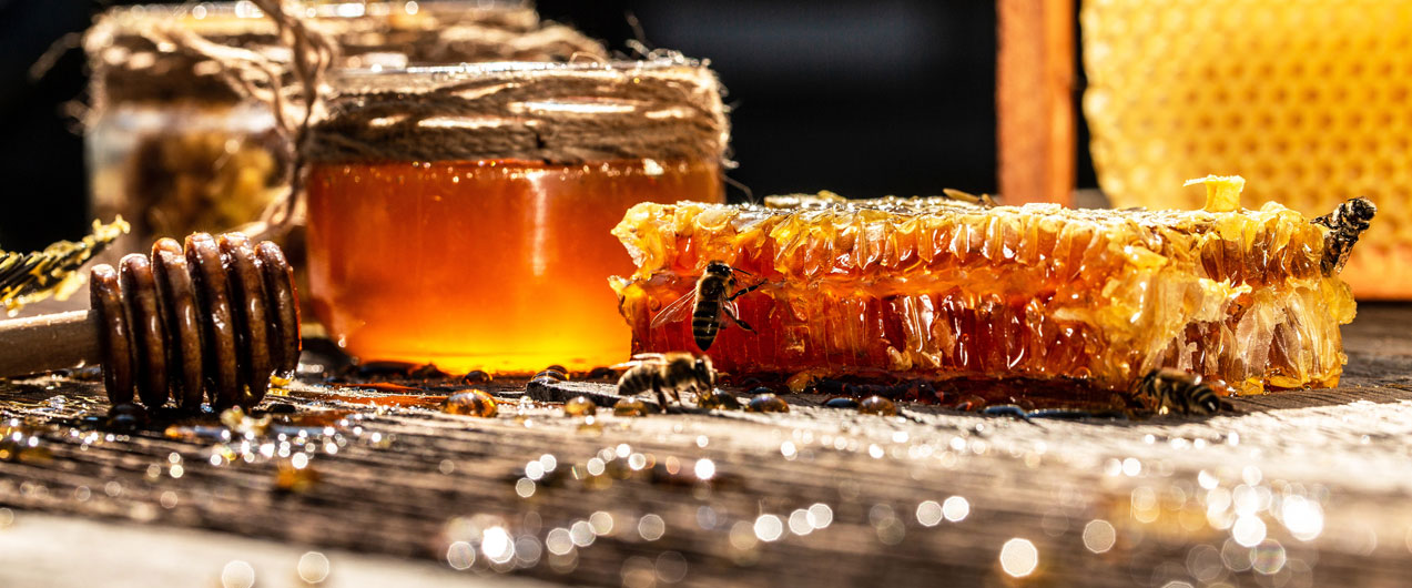Как принимать мед с прополисом? 
