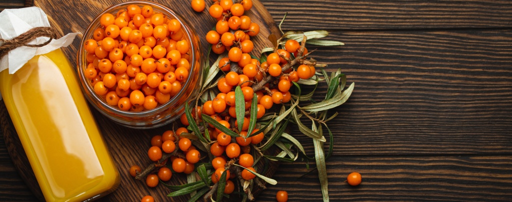 Польза ягод облепихи