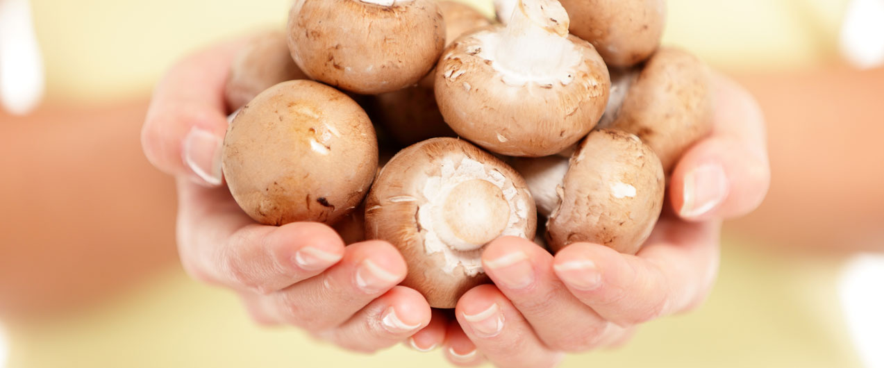 Как грибы влияют на здоровье человека?