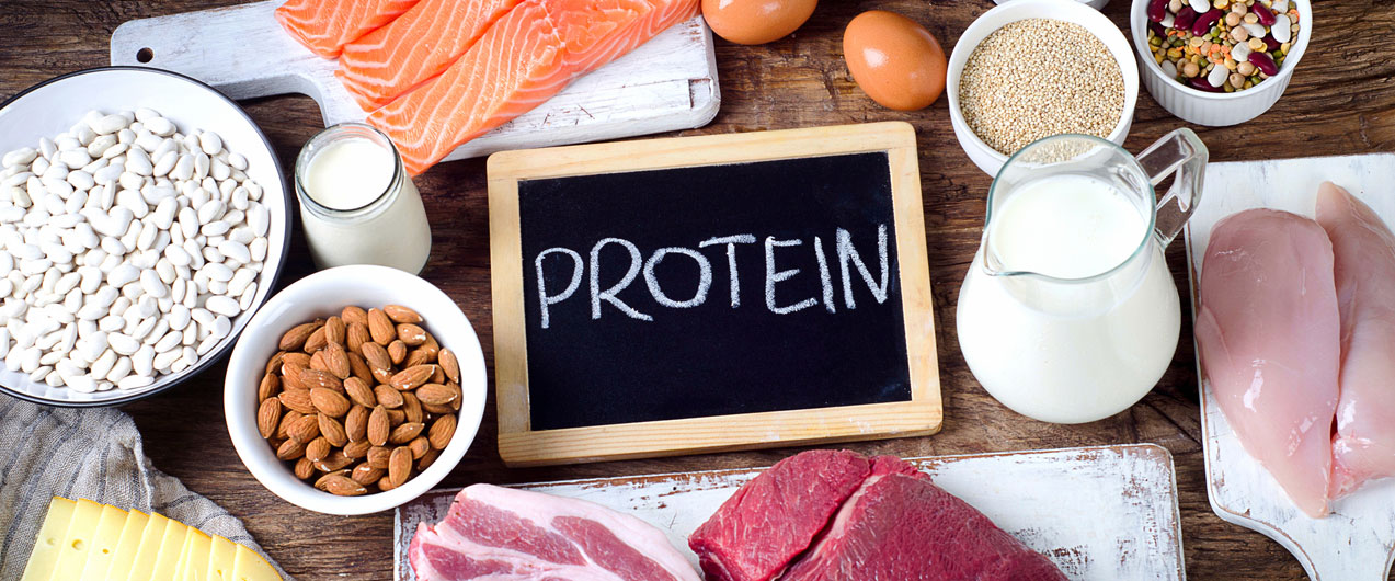 Что можно есть при белковой диете?