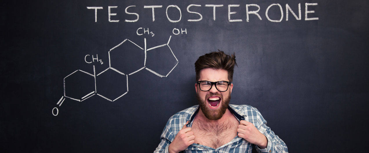 Какой орган вырабатывает тестостерон у мужчин?
