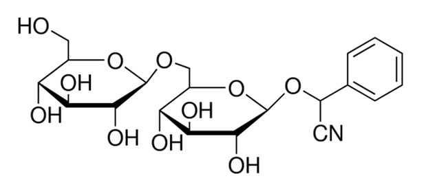 amigdalin.jpg