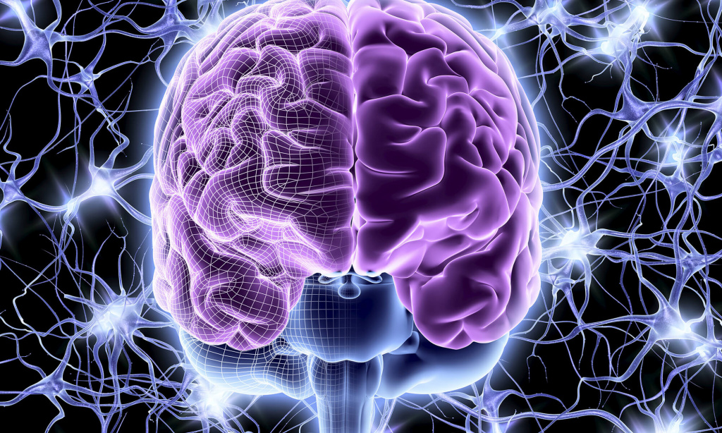Как быстро развить мозг, улучшить память и интеллектуальные способности?