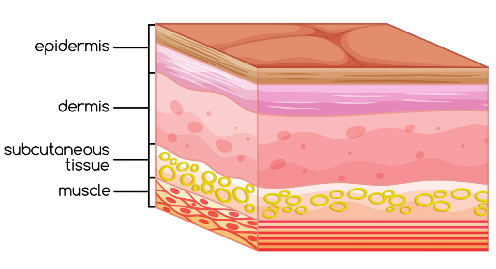 какие виды иммунитета выделяют чем они отличаются. Смотреть фото какие виды иммунитета выделяют чем они отличаются. Смотреть картинку какие виды иммунитета выделяют чем они отличаются. Картинка про какие виды иммунитета выделяют чем они отличаются. Фото какие виды иммунитета выделяют чем они отличаются какие виды иммунитета выделяют чем они отличаются. Смотреть фото какие виды иммунитета выделяют чем они отличаются. Смотреть картинку какие виды иммунитета выделяют чем они отличаются. Картинка про какие виды иммунитета выделяют чем они отличаются. Фото какие виды иммунитета выделяют чем они отличаются