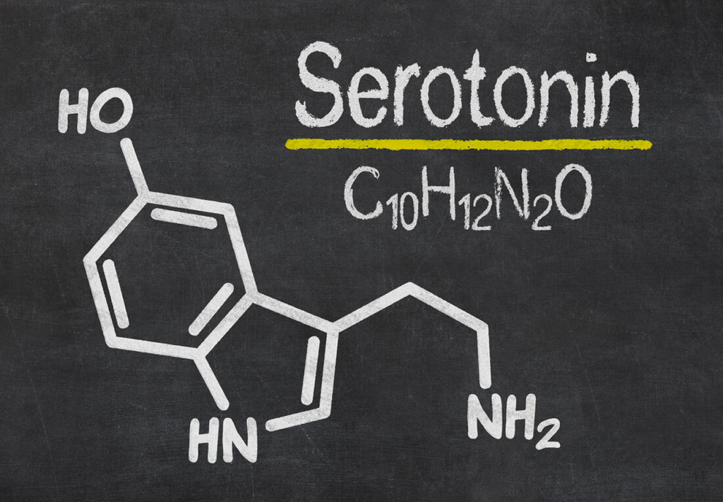 Как увеличить синтез гормона счастья, или какие продукты способствуют  выработке серотонина в организ