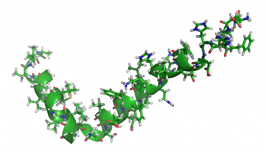 Как называется связь между аминокислотами. polypeptide. Как называется связь между аминокислотами фото. Как называется связь между аминокислотами-polypeptide. картинка Как называется связь между аминокислотами. картинка polypeptide