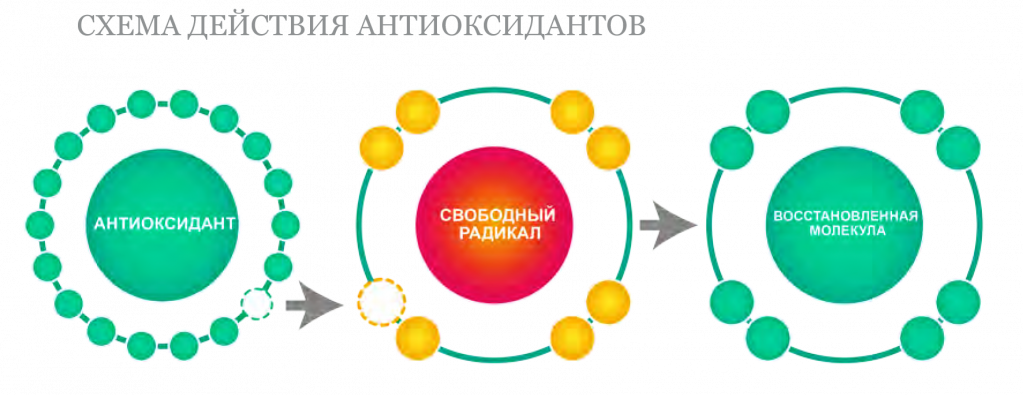 Антиоксиданты и их свойства для кожи