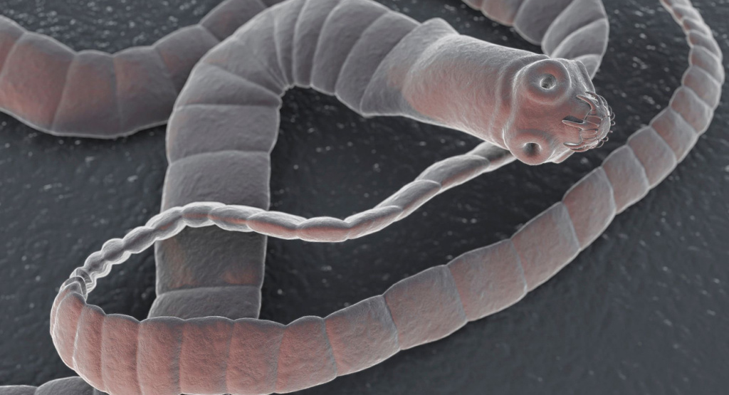 Есть несколько проверенных способов очистки организма от паразитов