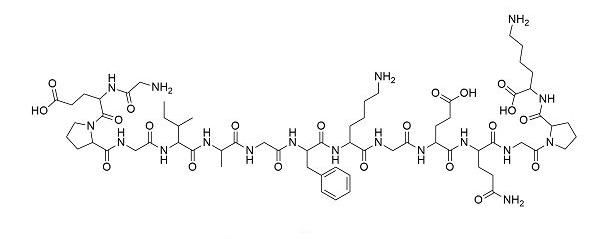 Type II Collagen Tip 2 Kollajen 1 2