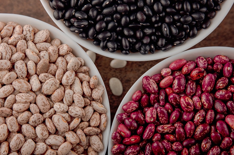 Топ-10 альтернатив мясу в рационе