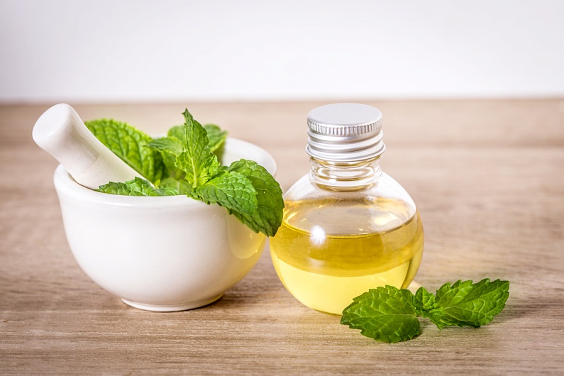 Масло перечной мяты: польза и применение