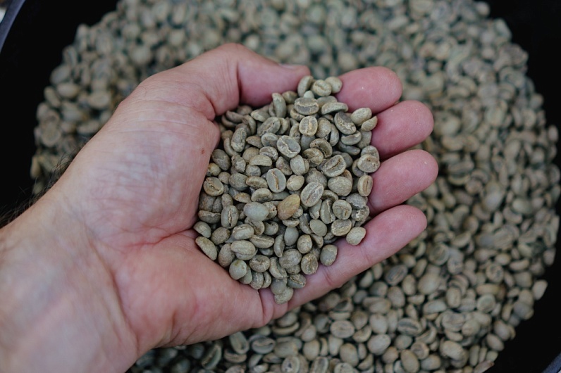 Зеленый Кофе