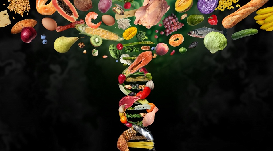 Роль ферментов в метаболизме