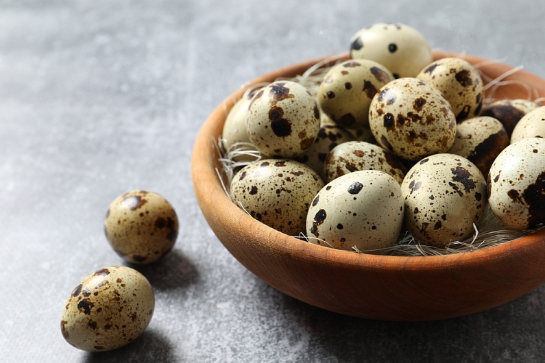 Перепелиные Яйца
