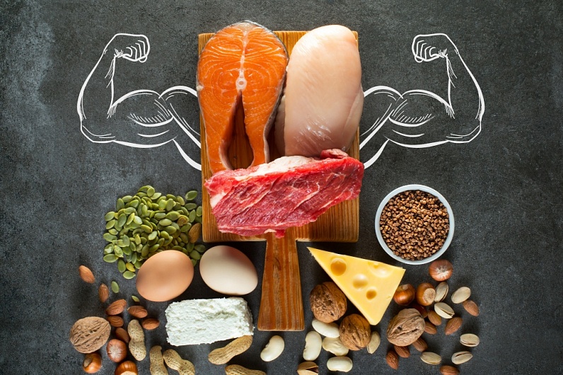 Продукты-лидеры по содержанию белков