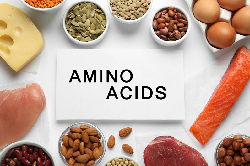 Сколько аминокислот образуют белки?