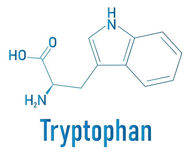 L-Триптофан