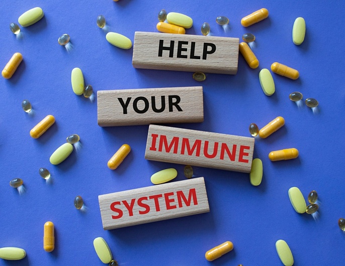 Каковы основные механизмы иммунитета