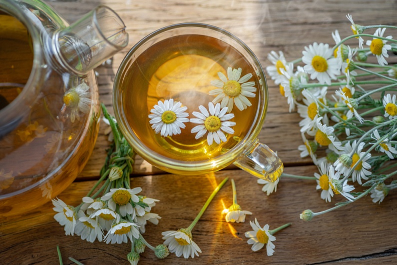Как приготовить чай из ромашки?