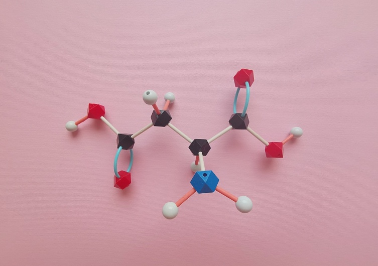 Сколько аминокислот участвует в синтезе белка?