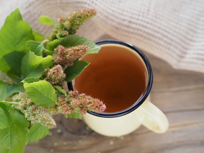 Как заварить чай из амаранта