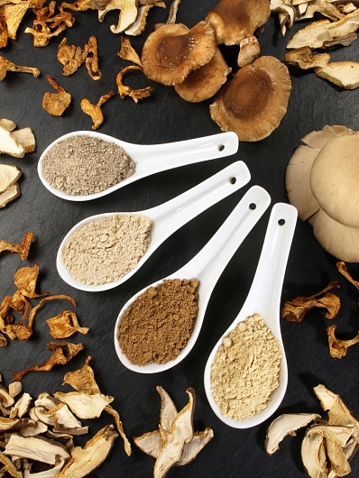 Грибы рейши и кордоцерпс: как приготовить здоровый кофе?