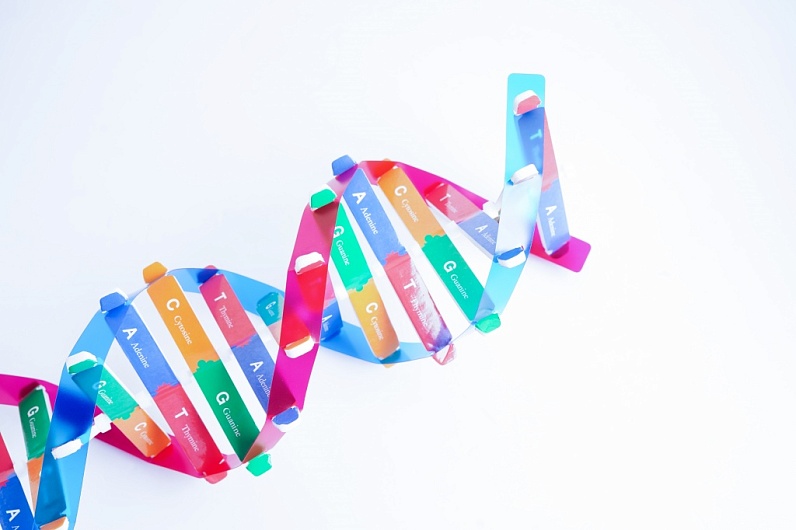 Сколько аминокислот в ДНК и что это такое?