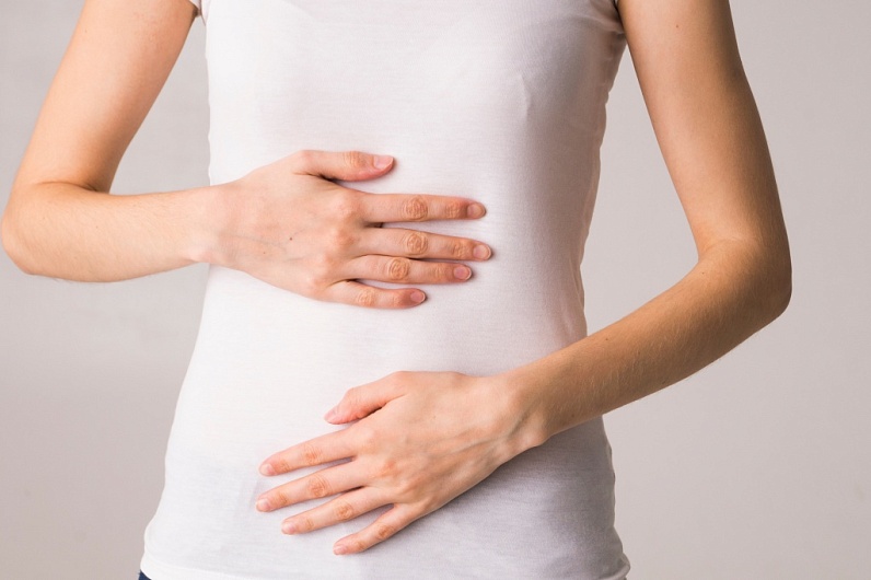 Какие органы вырабатывают ферменты