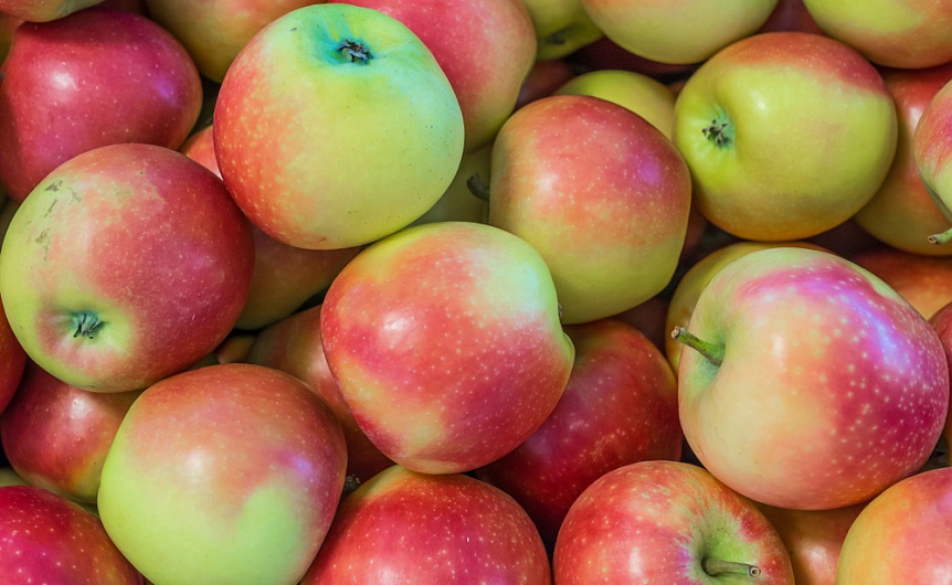 Что полезно для печени и желчного пузыря