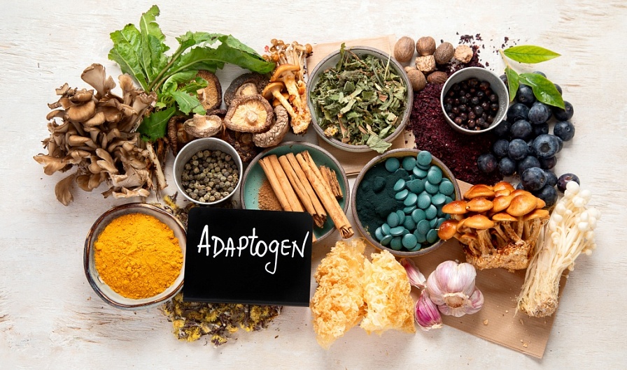 Адаптогены: что это такое, как принимать?