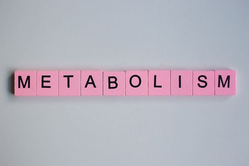 Обмен веществ в организме: как называется и на что влияет?