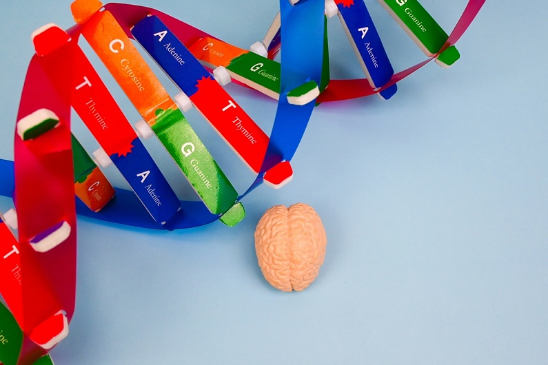 Какое количество нуклеотидов кодируют одну аминокислоту