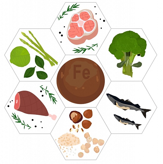 Функции железа в организме человека