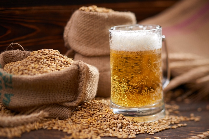 Автолизат Пивных Дрожжей