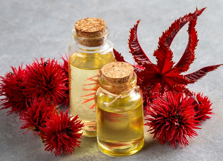 Можно ли наносить касторовое масло на лицо?