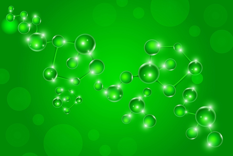 Последовательность аминокислот в белке