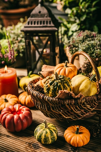 Правила питания осенью: как избежать авитаминоза?