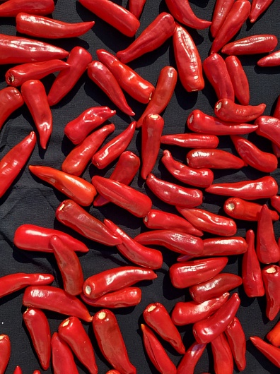 Какие продукты повышают мужскую потенцию?