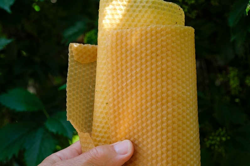 Воск Пчелиный