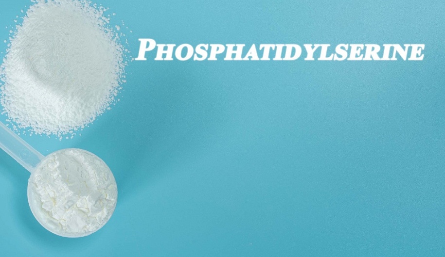 Фосфатидилсерин