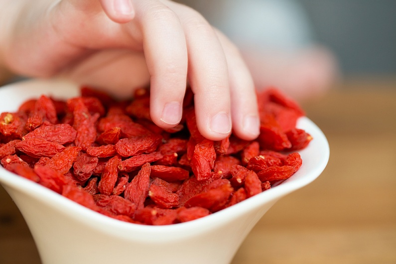 Годжи ягода: польза и вред как принимать