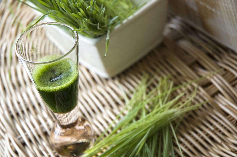 Травы для повышения детского иммунитета